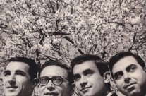 Los Millonarios with beautiful almond trees in blossom.